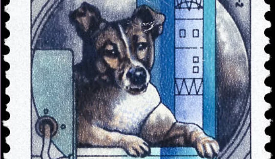 Srovnání AI pro generování obrázků aneb velká psí cesta na měsíc